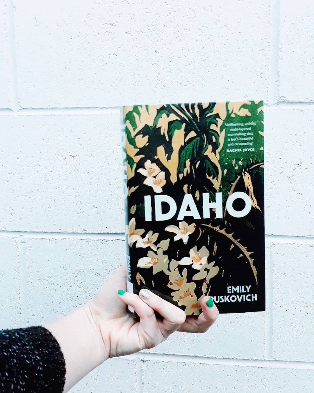 [review] Idaho – Emily Ruskovich